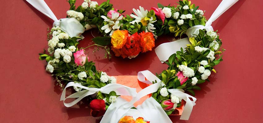 自动攻击网站工具下载